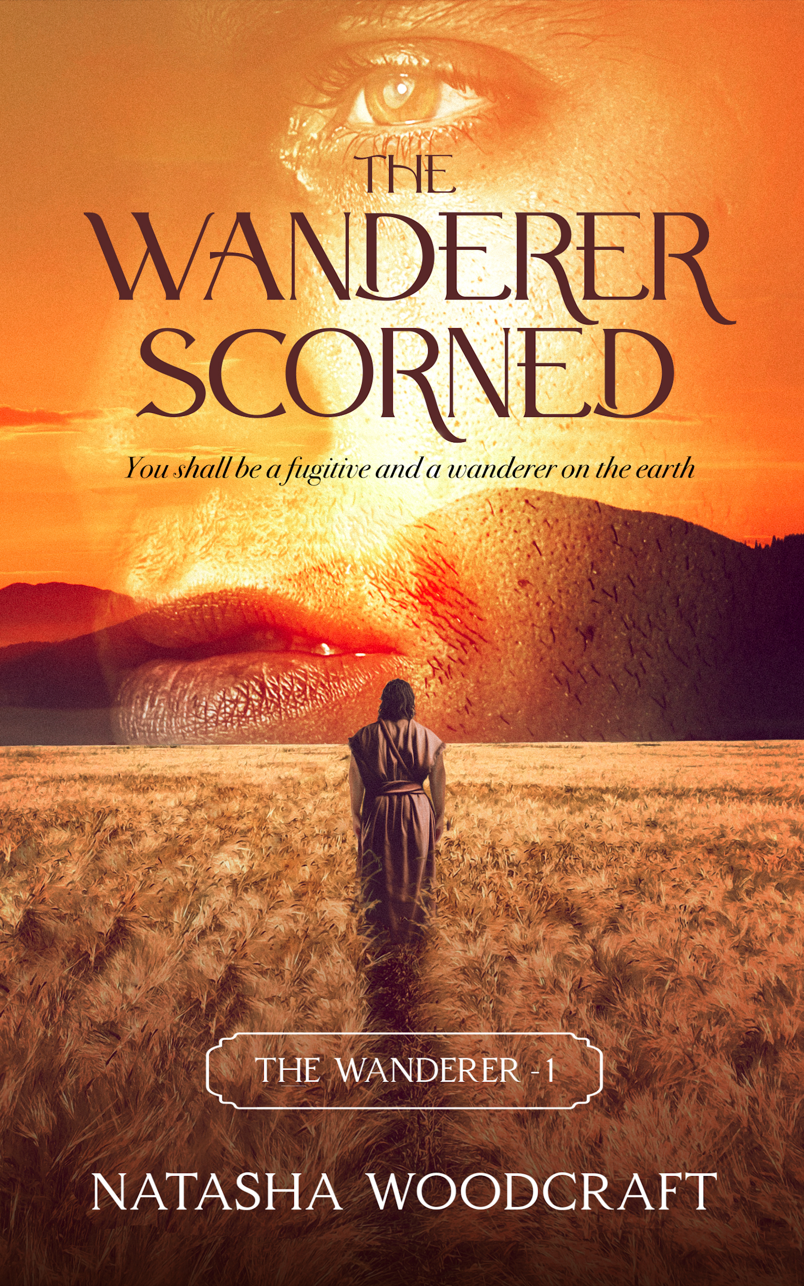 Book cover image The Wanderer Scorned