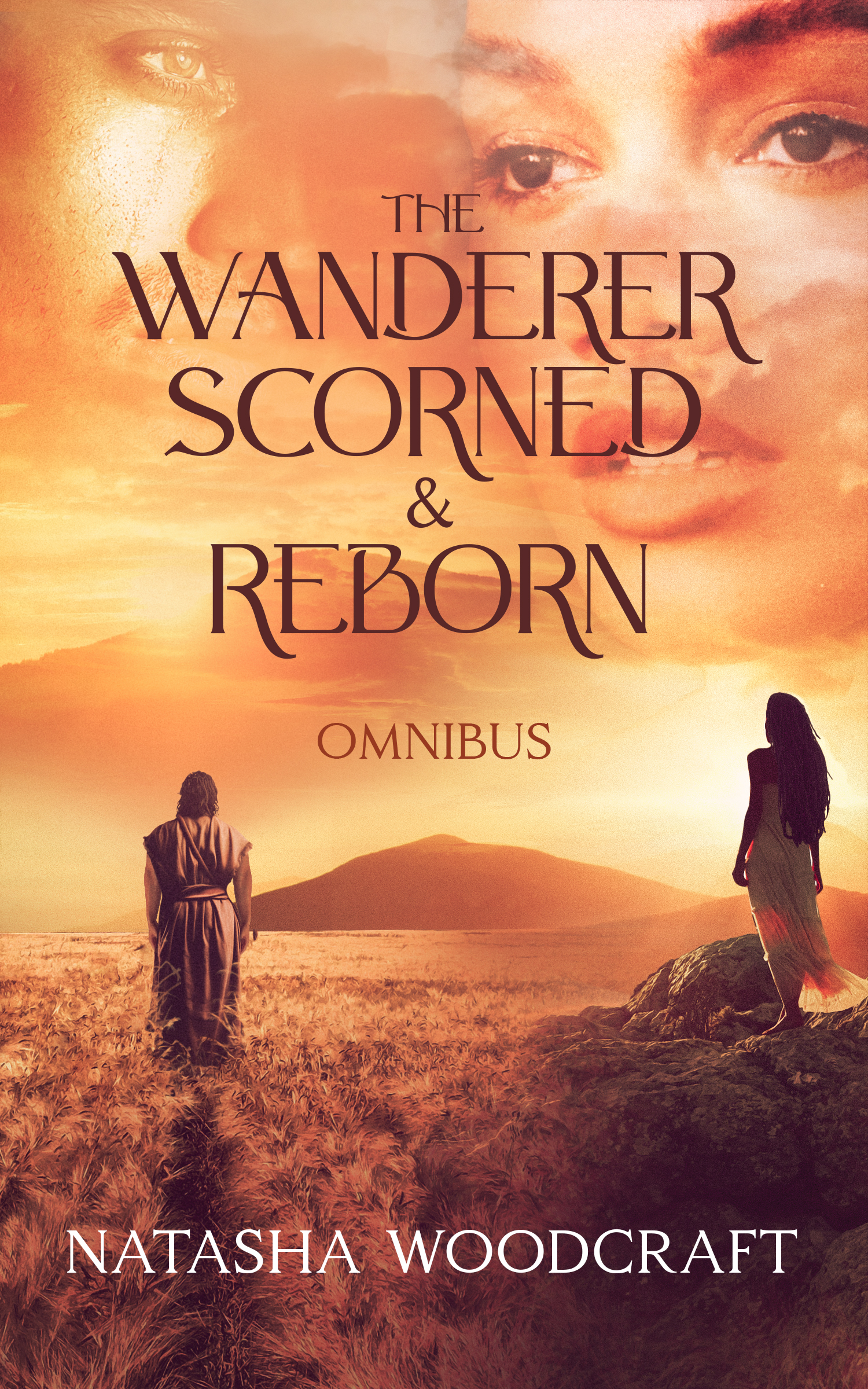 The Wanderer Omnibus Hardback